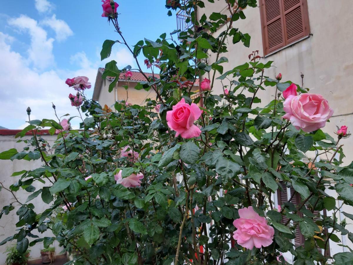 Corbara Casa Delle Rose, Pompei E Amalfi Coast公寓 外观 照片